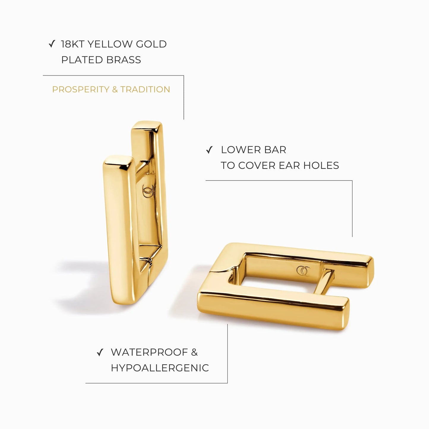 Earrings - Nexa Hoops Moon Magic