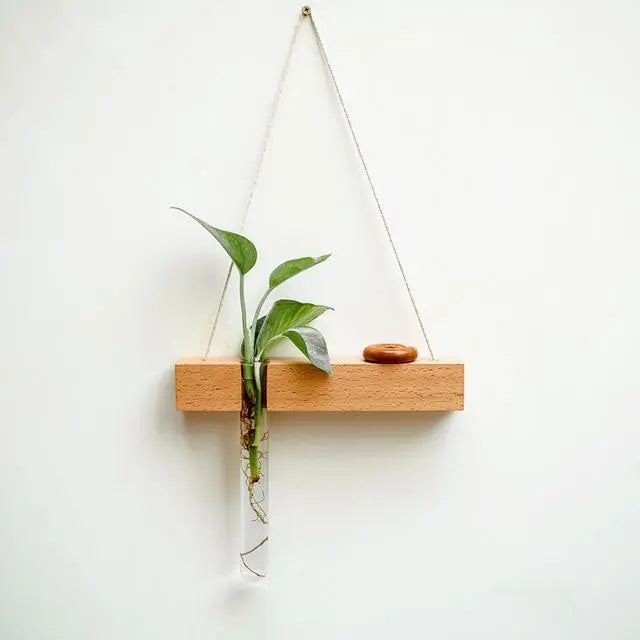 Wood Hydroponic Wall Plant Vase Gifts for Designers