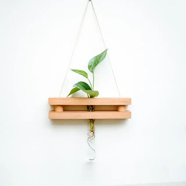 Wood Hydroponic Wall Plant Vase Gifts for Designers