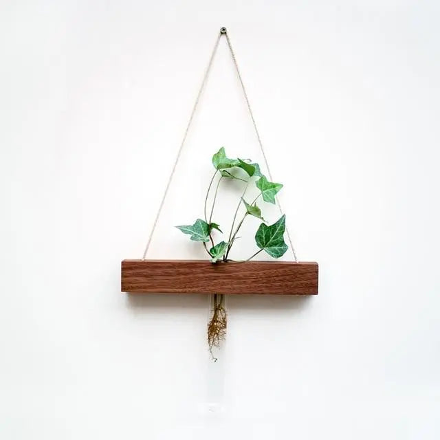 Wood Hydroponic Wall Plant Vase Gifts for Designers