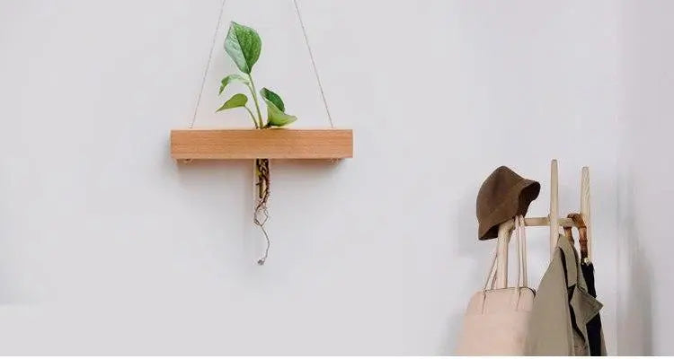 Wood Hydroponic Wall Plant Vase Gifts for Designers