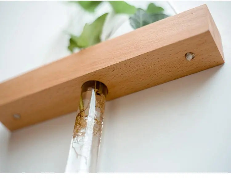Wood Hydroponic Wall Plant Vase Gifts for Designers