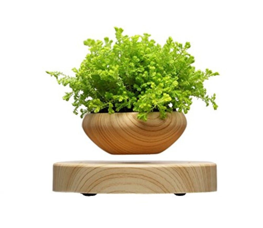 Floating Bonsai Plant Pot