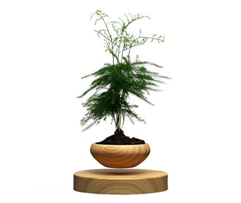 Floating Bonsai Plant Pot