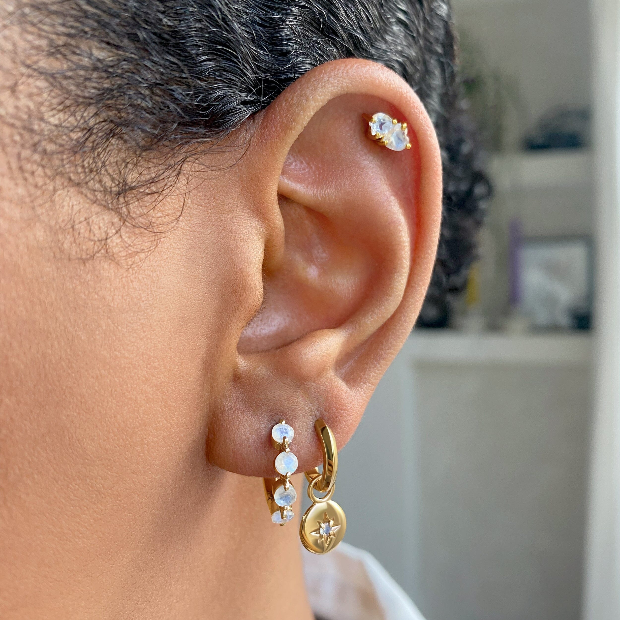 Moonstone Earrings - North Star Hoops