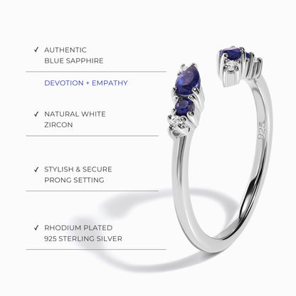 Blue Sapphire Loveliness Starter Kit