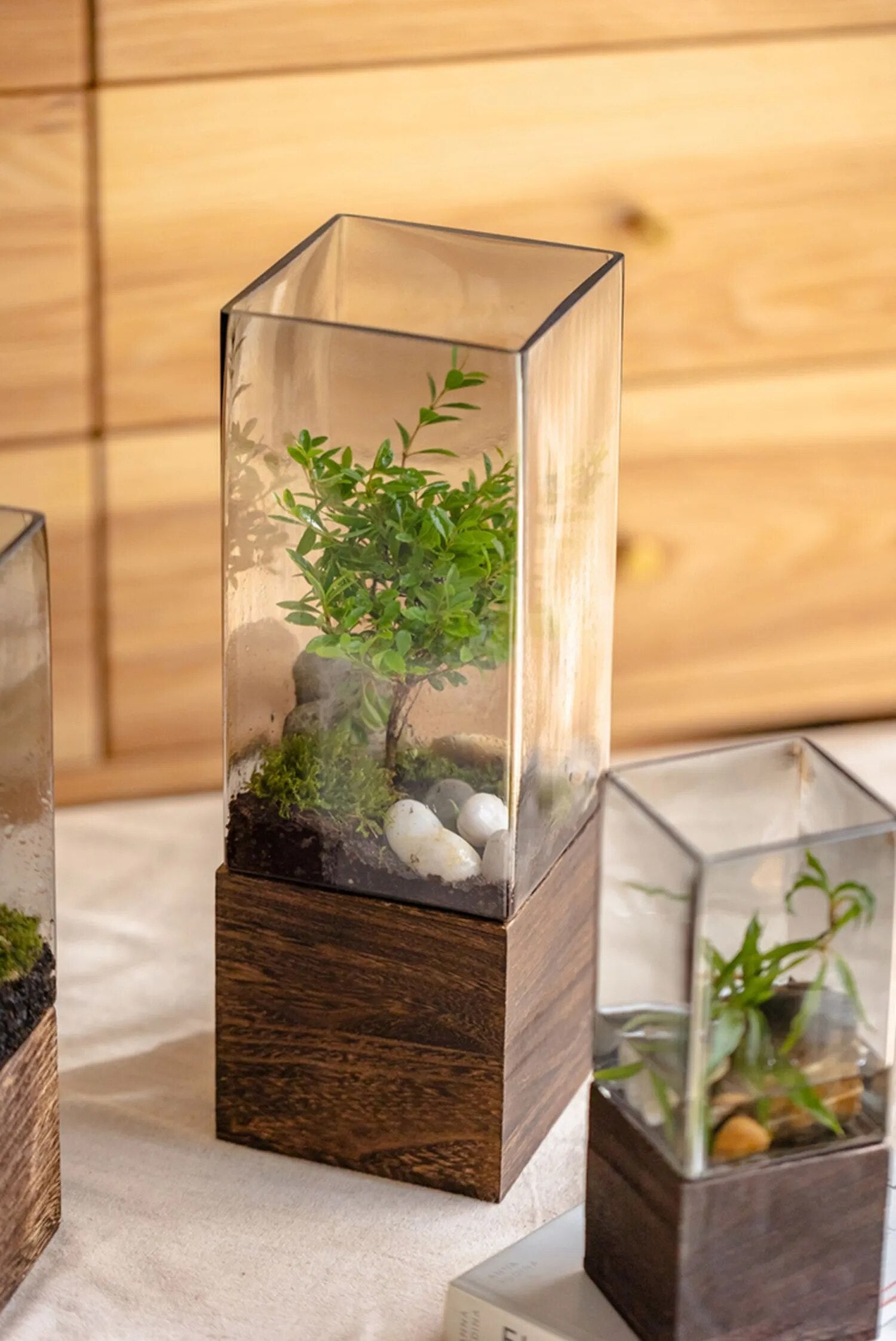 Nordic Rectangular Hydroponic Vase