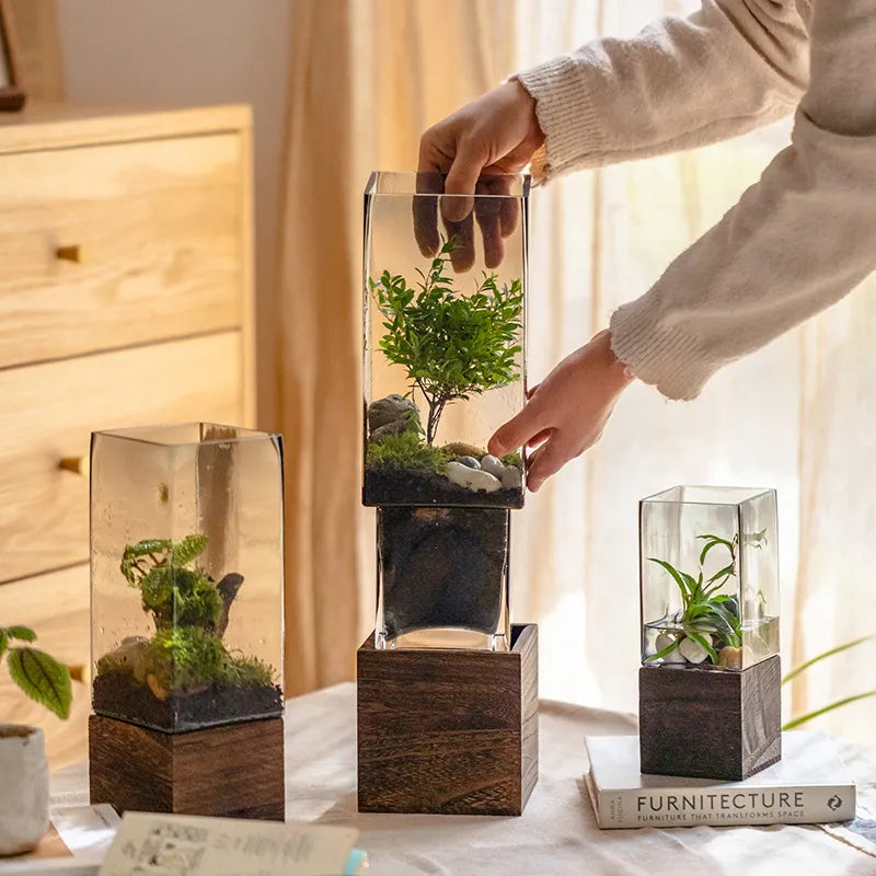 Nordic Rectangular Hydroponic Vase