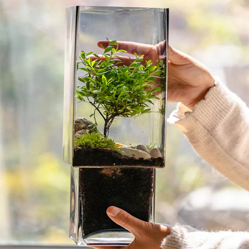 Nordic Rectangular Hydroponic Vase