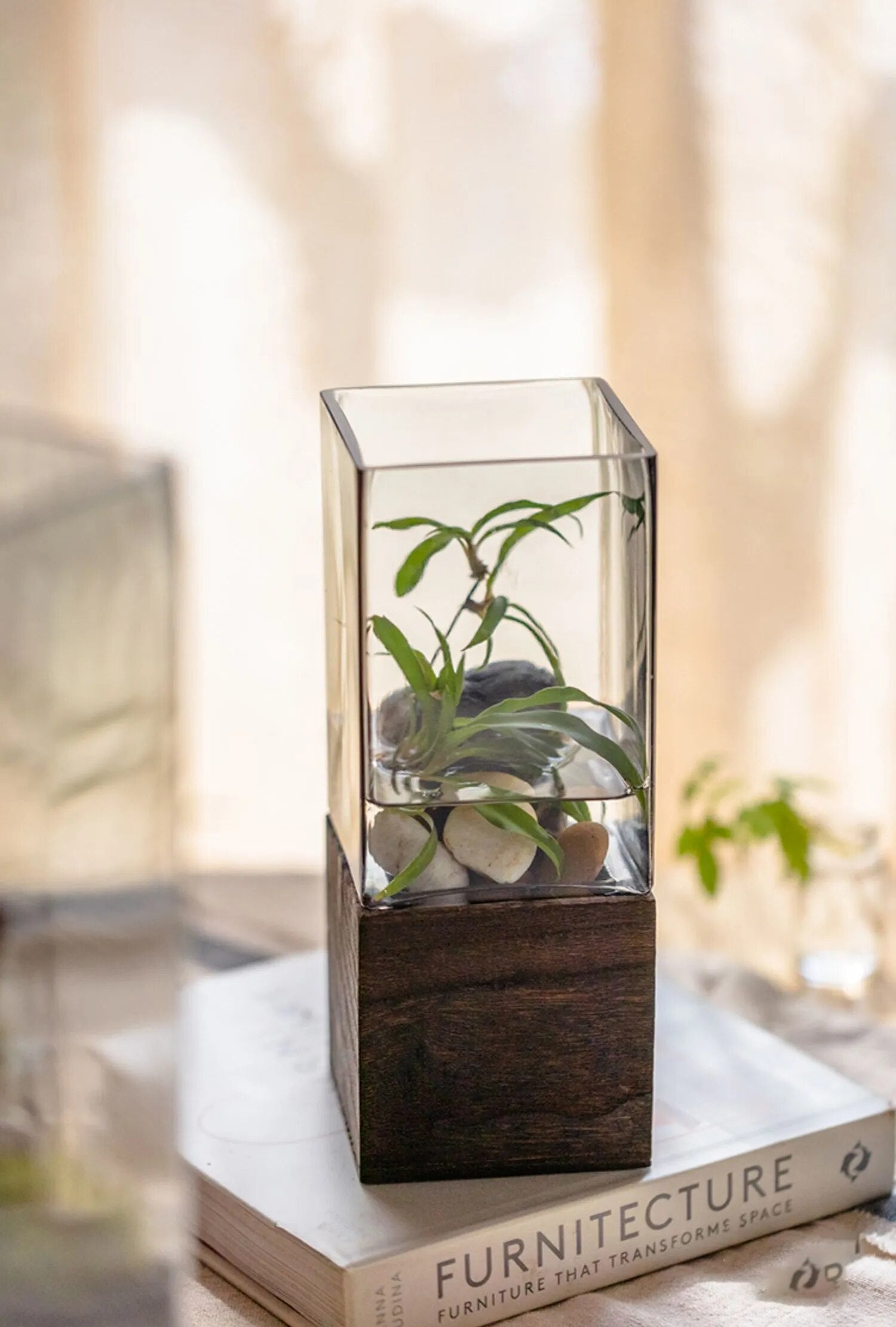 Nordic Rectangular Hydroponic Vase