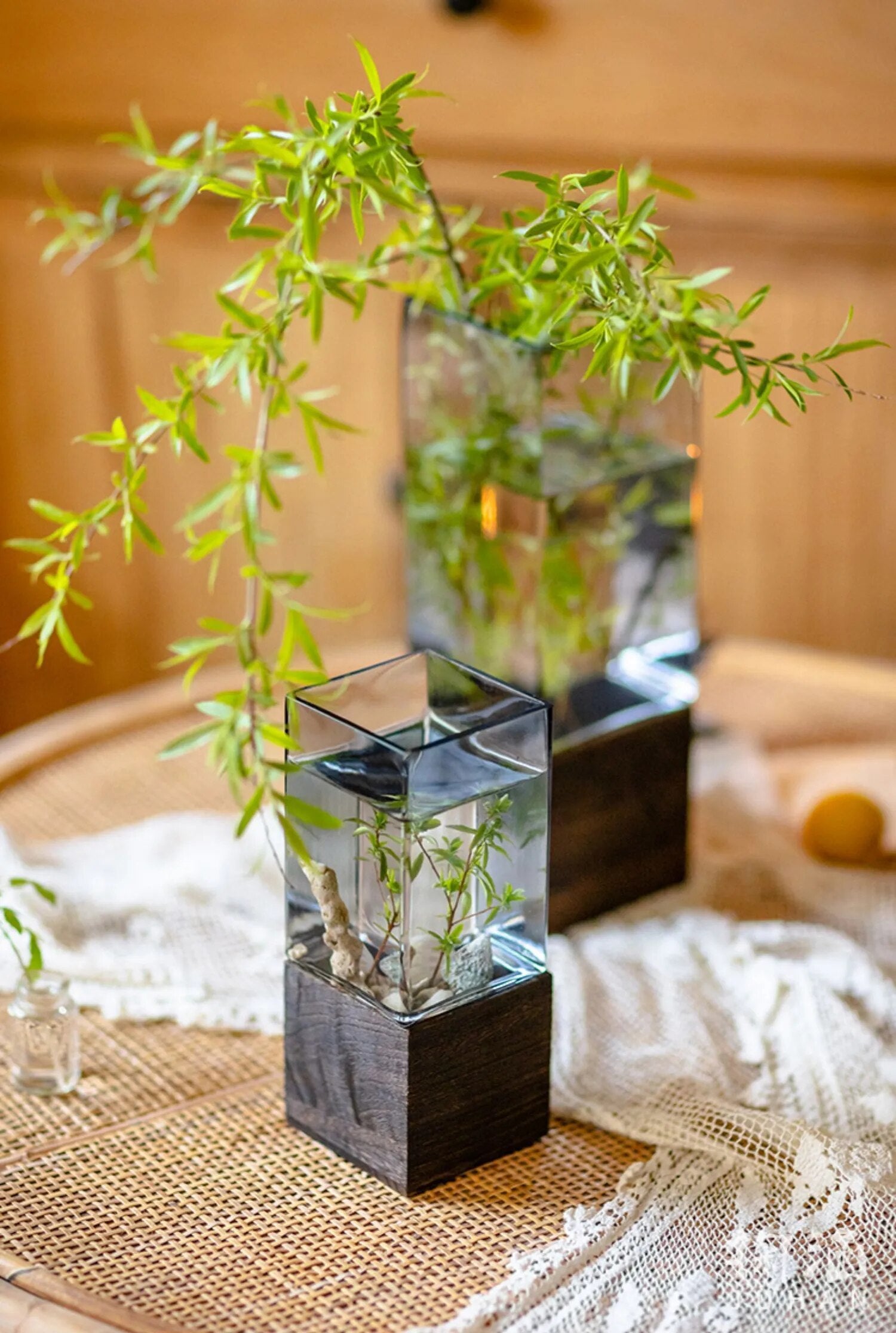 Nordic Rectangular Hydroponic Vase