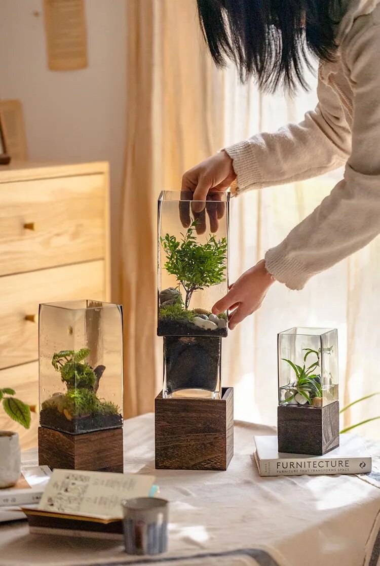 Nordic Rectangular Hydroponic Vase