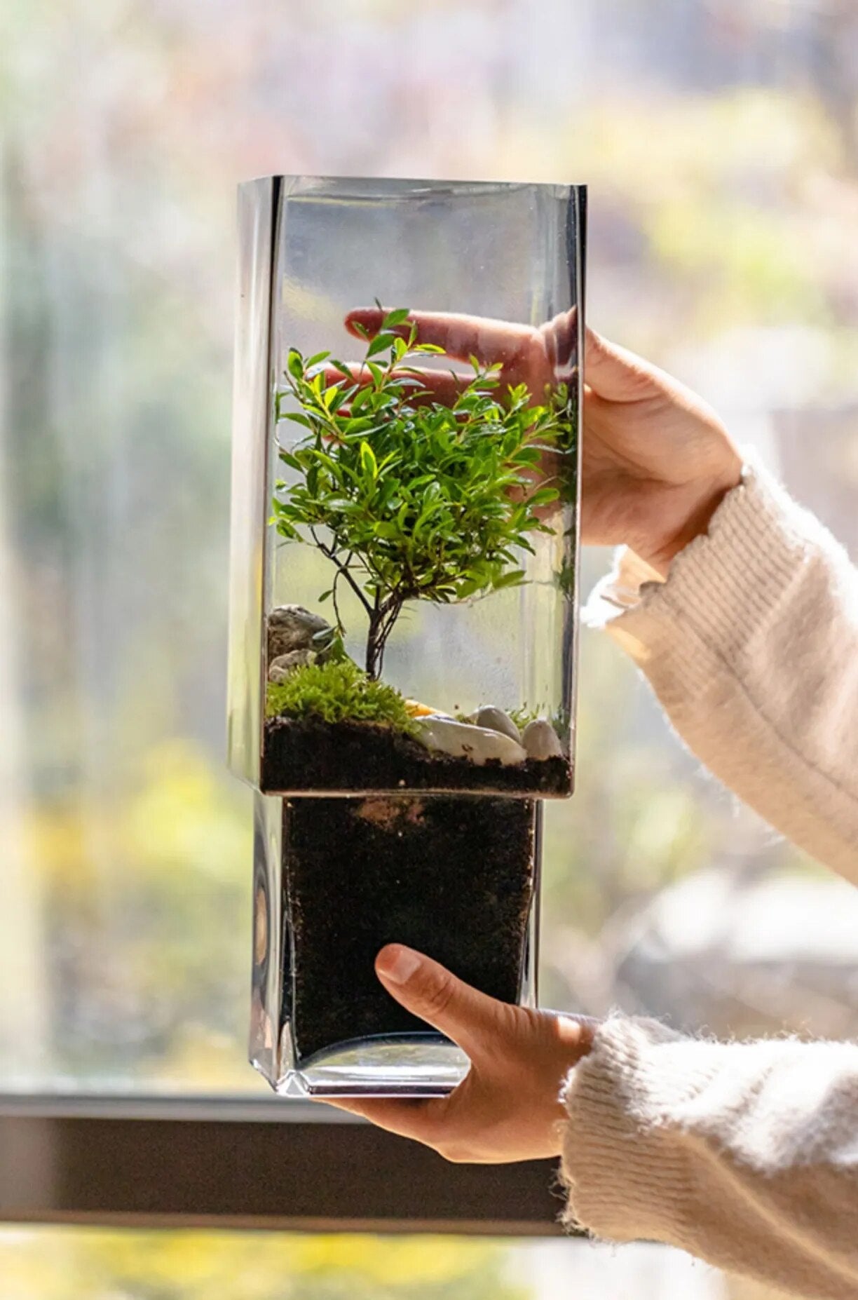 Nordic Rectangular Hydroponic Vase