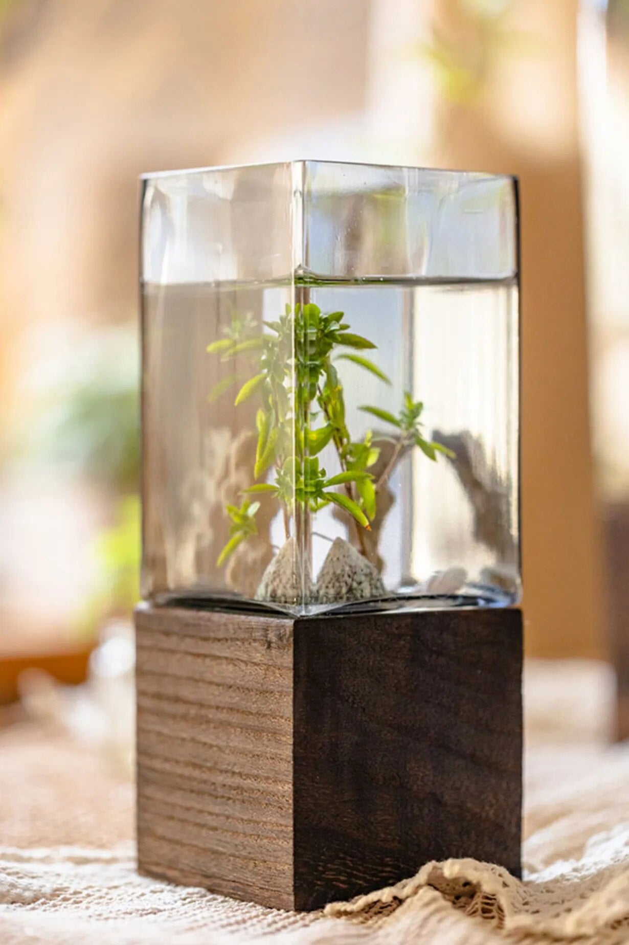 Nordic Rectangular Hydroponic Vase