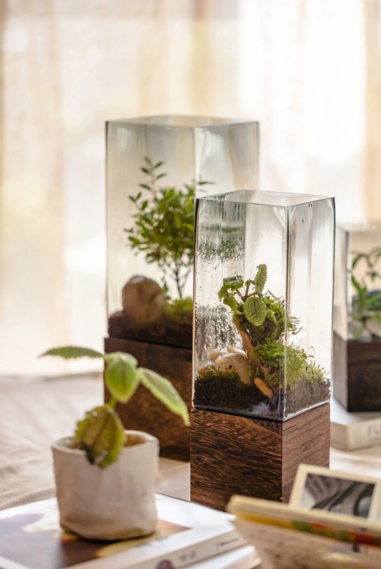 Nordic Rectangular Hydroponic Vase