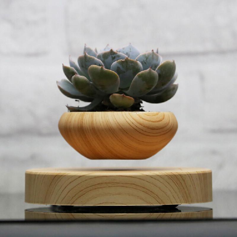 Floating Bonsai Plant Pot