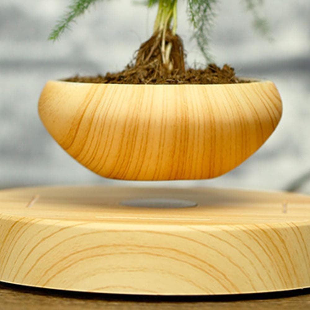 Floating Bonsai Plant Pot