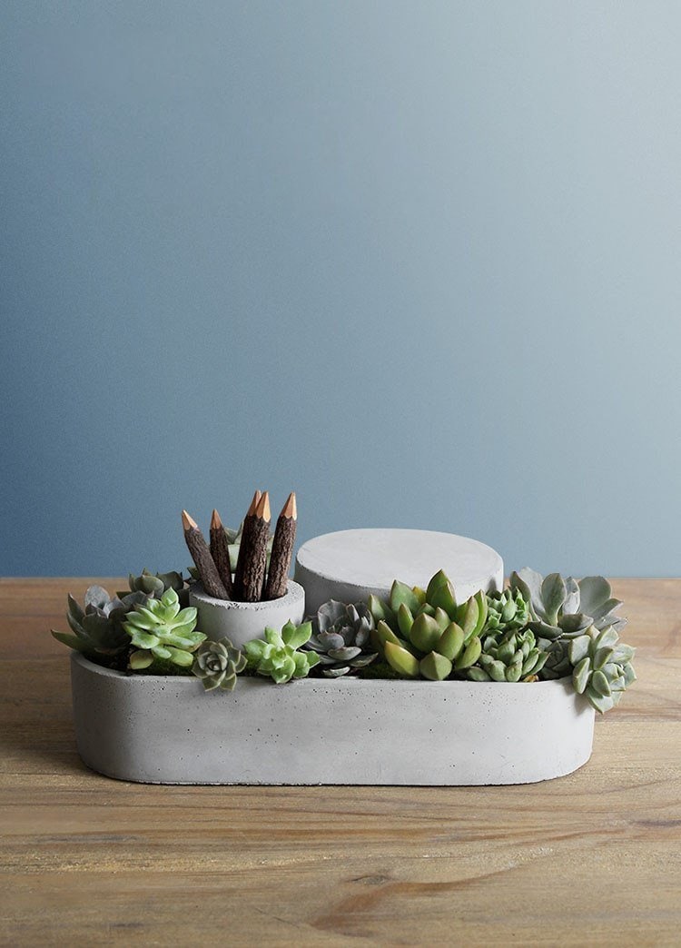 Japanese Desktop Cement Plant Vases and Organizers