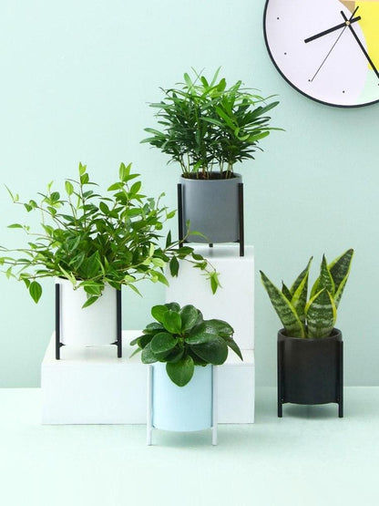 Pots de fleurs minimalistes en céramique et fer forgé simples